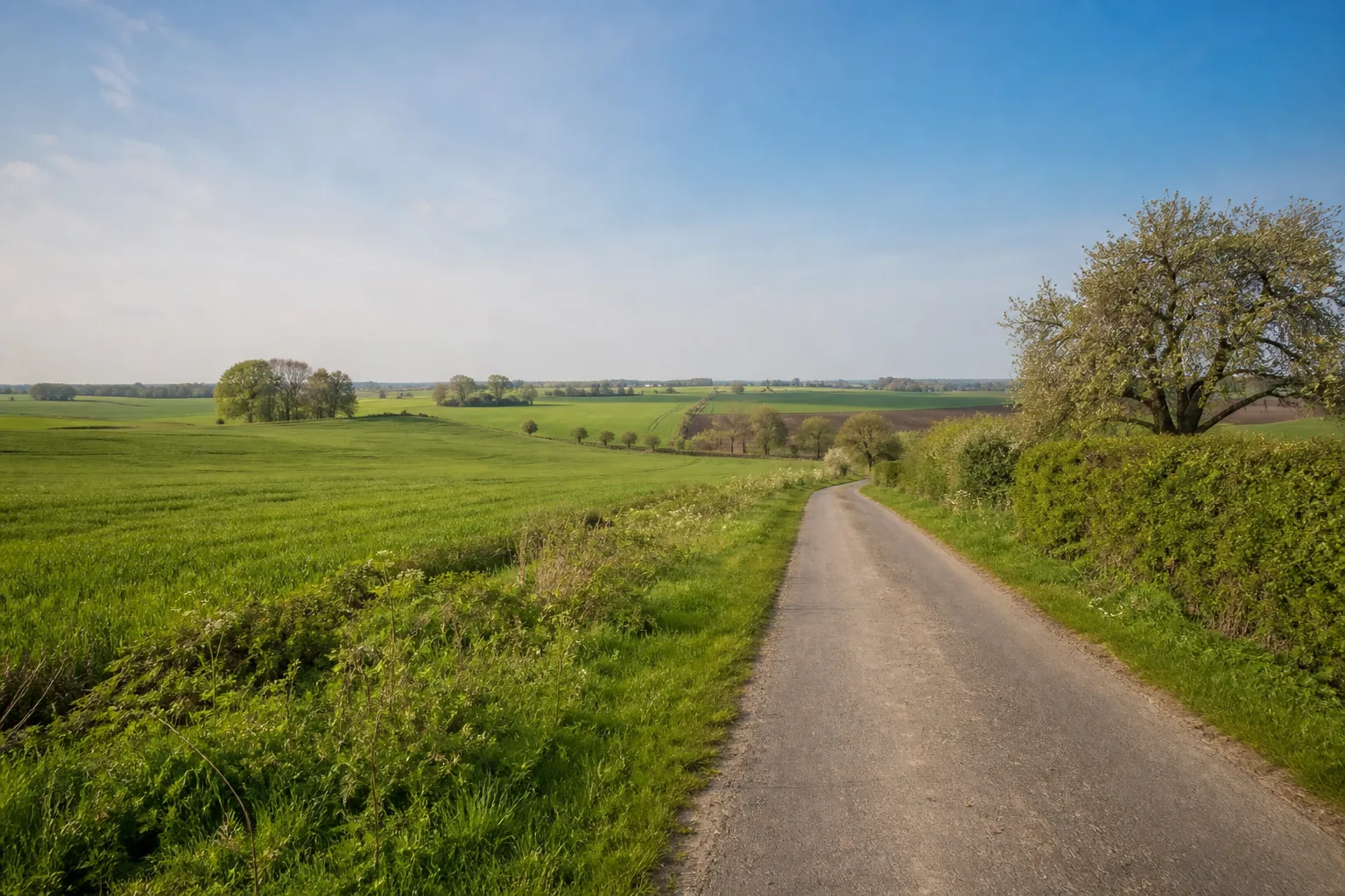 Benteler und Allerbeck beim Wandern in Langenberg