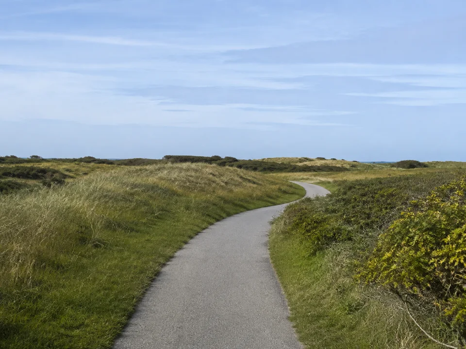 Langeoog: Befestigter landseitiger Wanderweg zwischen niedrigen Dünenwiesen bei Melkhörn auf Langeoog, Strandhafer und niedrige Sträucher