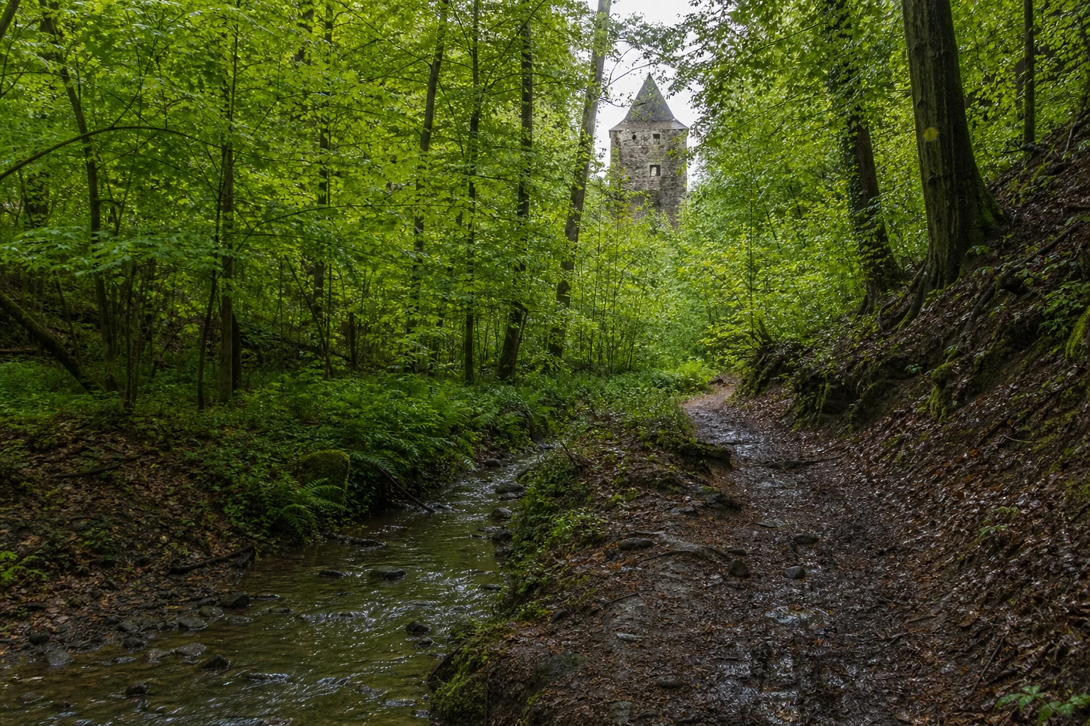 Langerwehe: Waldweg im Schönthal bei Langerwehe