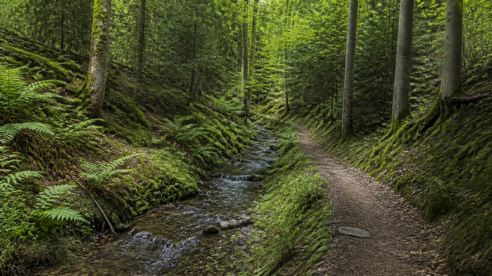 Waldarbeiterpfad im Grubental