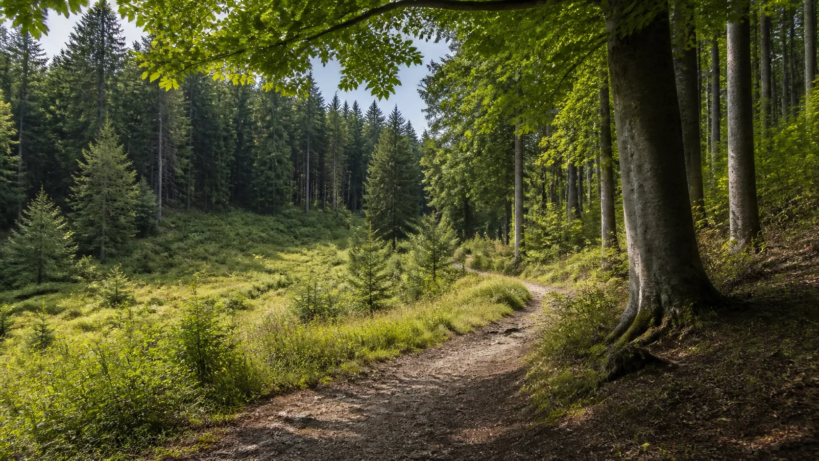 Latrop: Latroptal und Bergwiesen