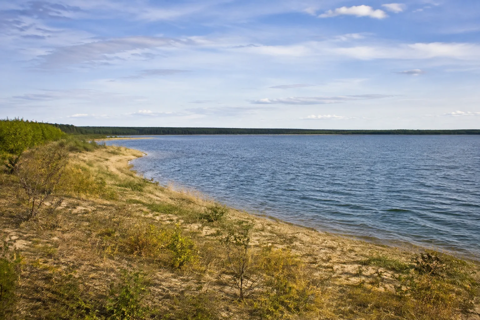 Bärwalder Südufer: Großer See vor einem flachen Kiefernwaldhorizont