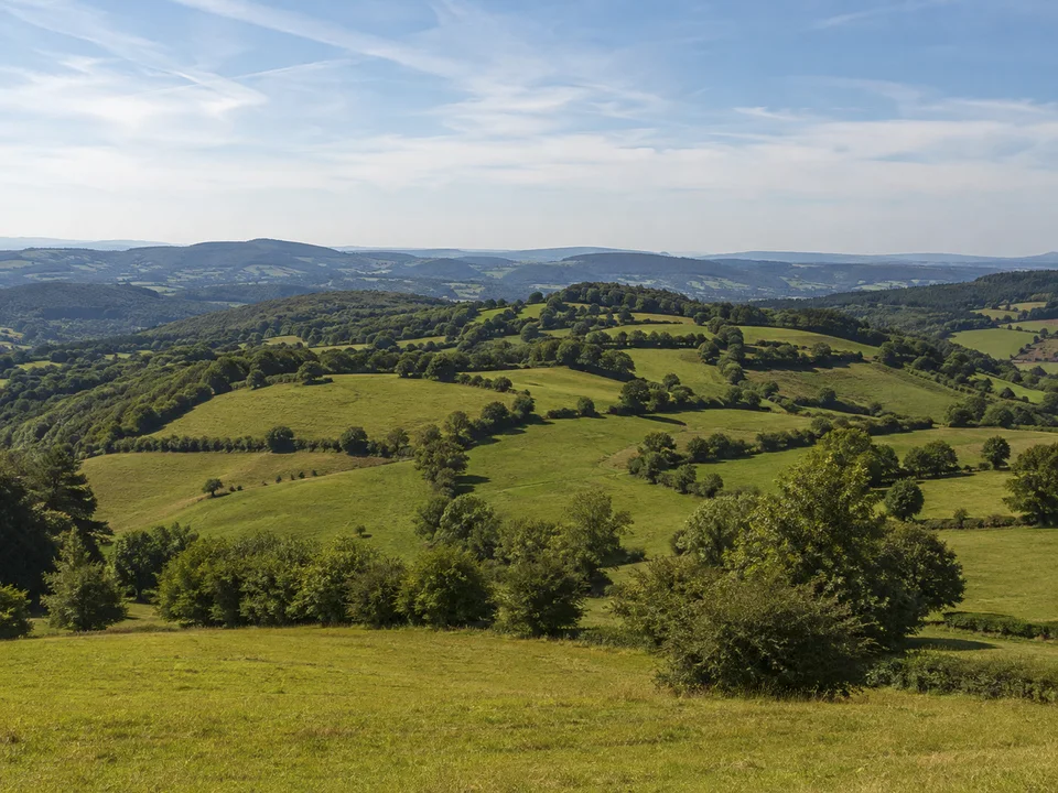 Maarer Wiesenhöhen: Kleinteilige grüne Weiden auf runden Hügeln mit Feldhecken und weitem Mittelgebirgsblick