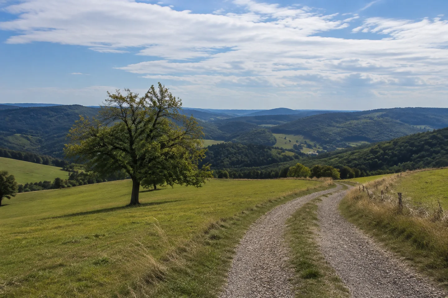 Odenwälder Höhenwiesen bei Gadernheim, offener Horizont aus gerundeten bewaldeten Hügeln, einzelner Obstbaum und geschwungener Wirtschaftsweg.