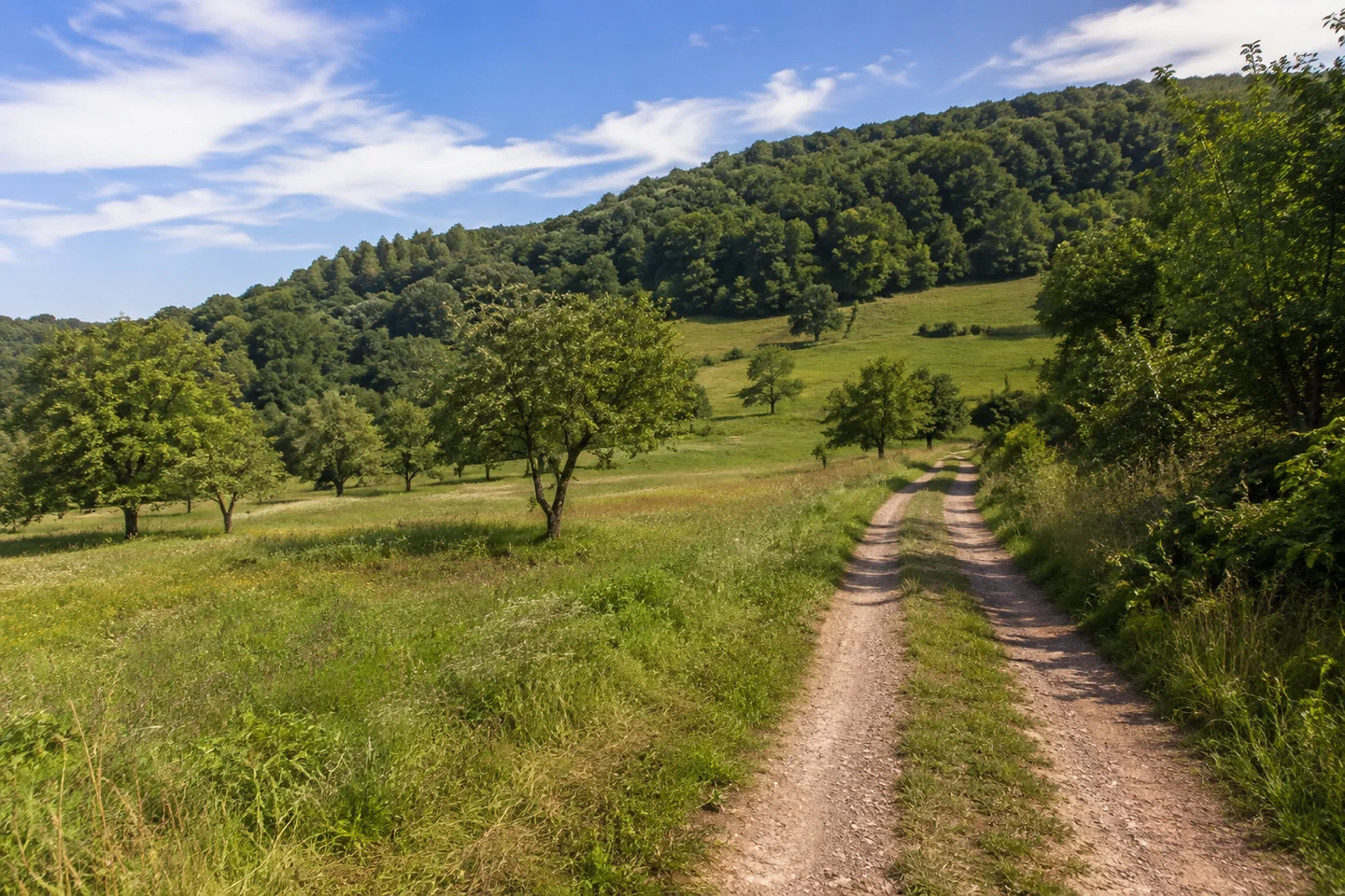 Lautertal (Odenwald): Reichenbach Lautertal: Lautertaler Wiesen am Ortsrand von Reichenbach, sanfter Anstieg zu bewaldeten Höhen, Obstbäume und unbefestigter Feldweg; kein Blockmeer als Wanderweg.