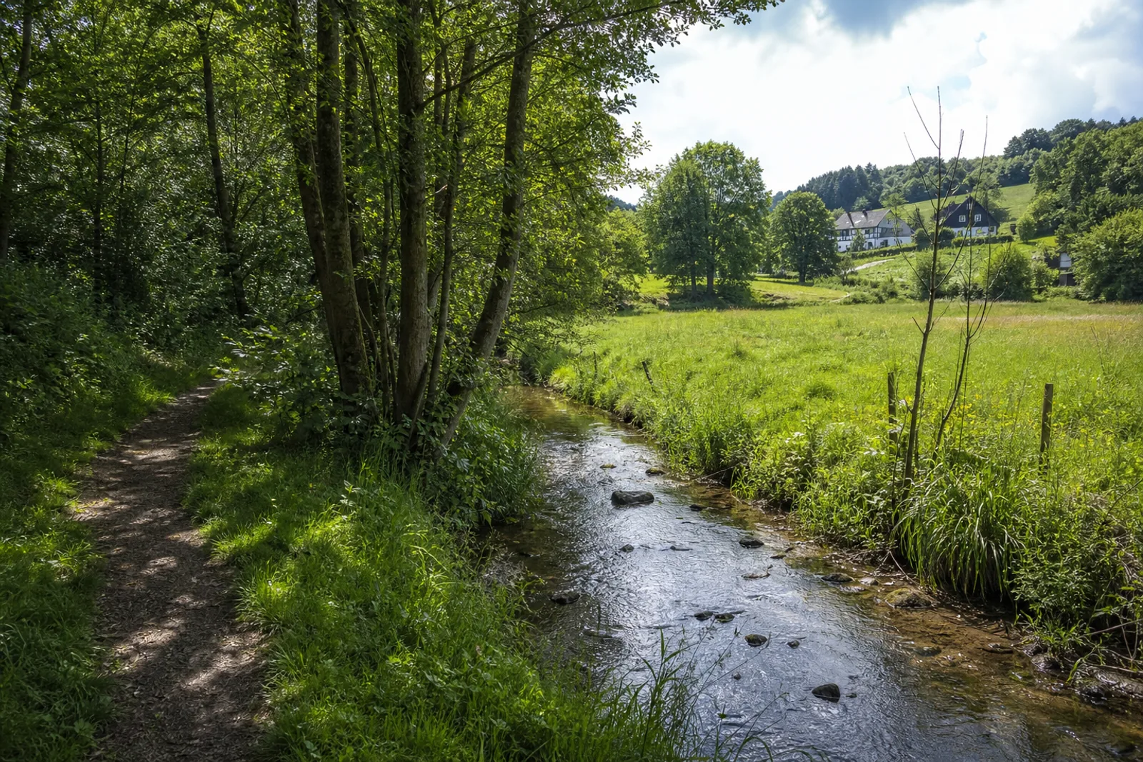 Waldpfad am Weltersbach
