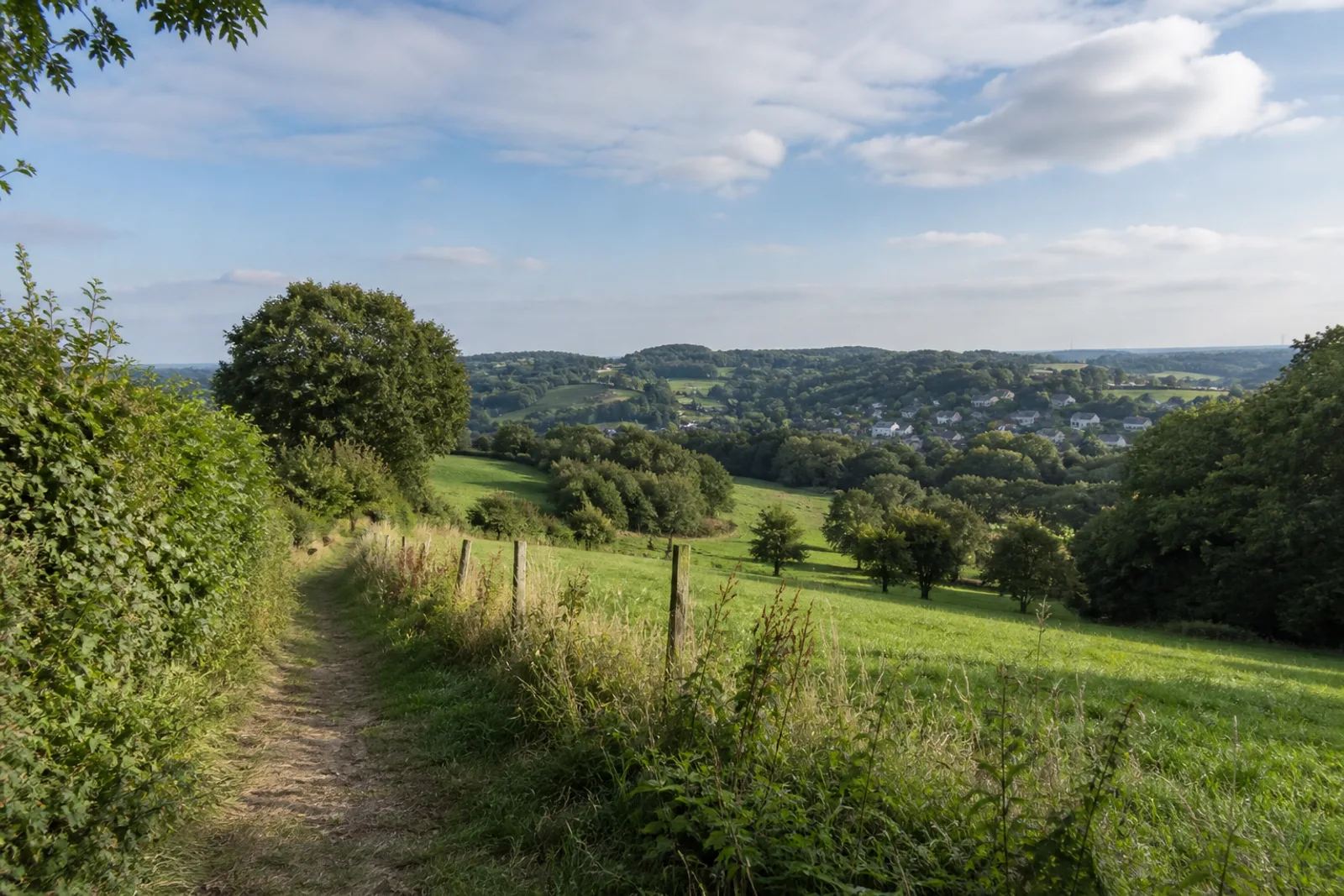 Obstwiesenweg bei Witzhelden