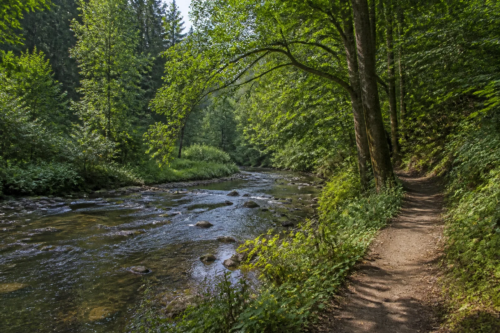 Leichlingen: Wupperaue bei Leichlingen (Rheinland)