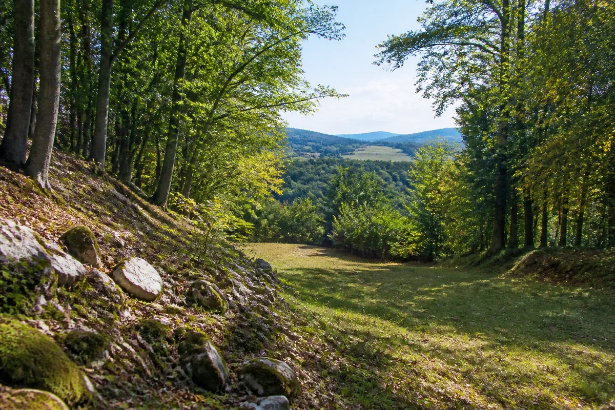 Buchenwaldweg am Fuß des Ohmgebirges bei Wintzingerode, helle Kalksteine und kleine Lichtung, keine Burg