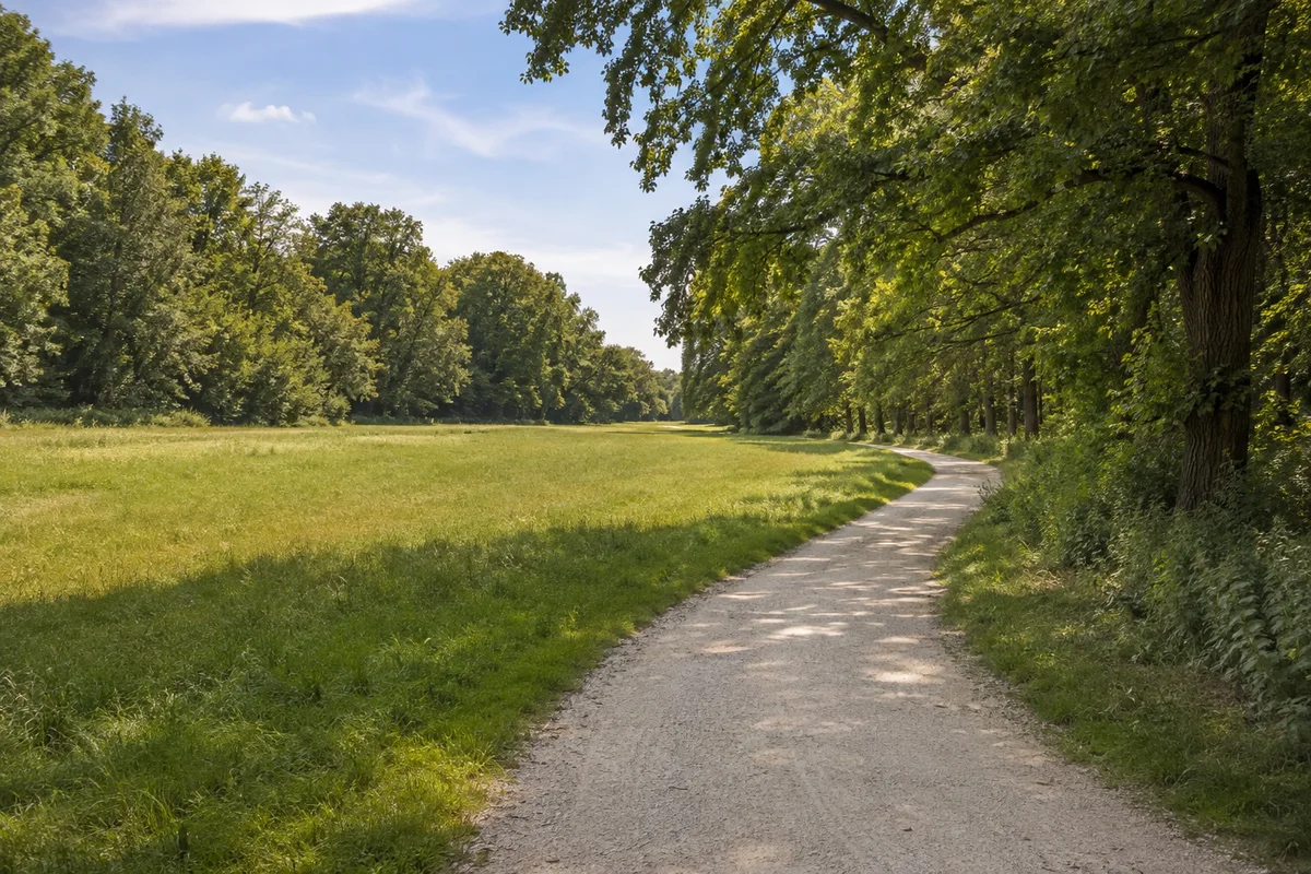 Leipzig: Rosental: weite ebene Parkwiese mit Laubbäumen und Kiesweg