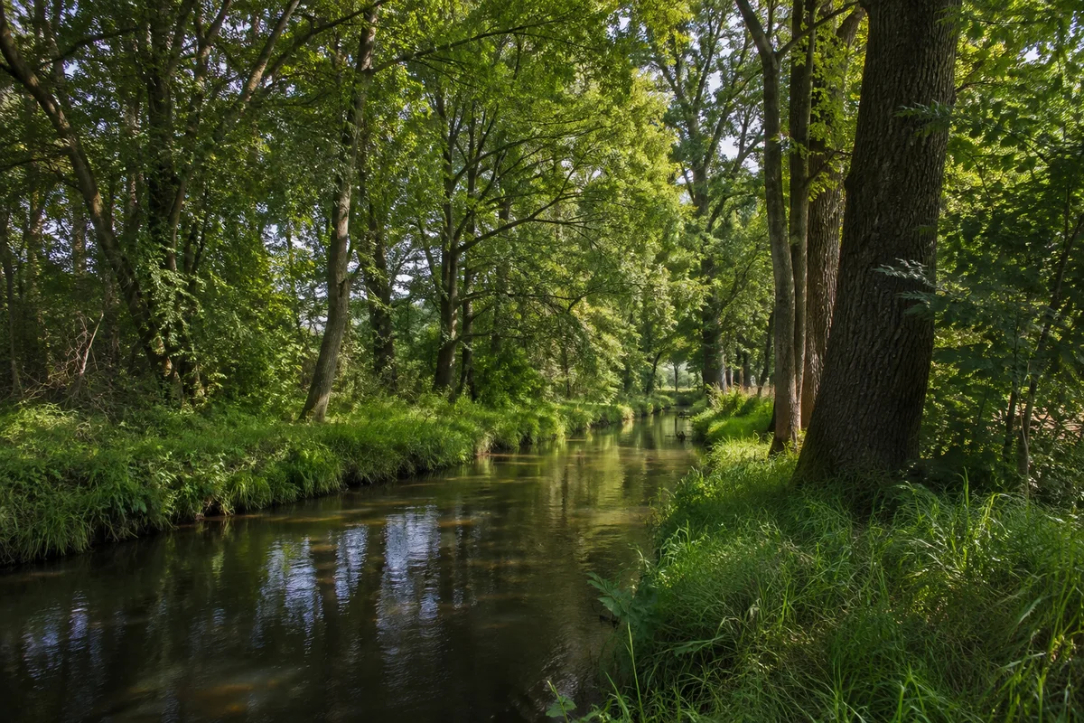 Leipziger Auwald: Lützschena: schmaler ruhiger Auenwasserlauf unter alten Eichen und Eschen, vollkommen eben