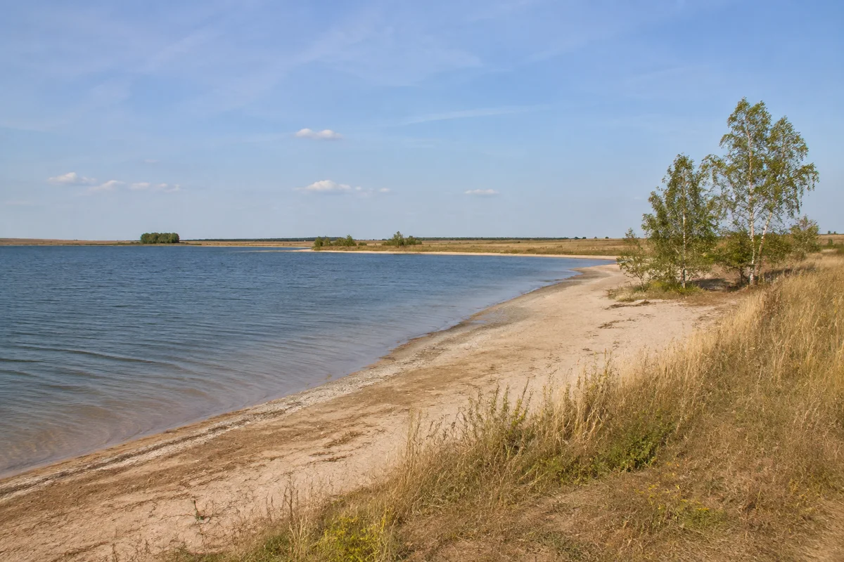 Schladitzer See: heller sandiger Ufersaum, offenes flaches Land und einzelner Birkenaufwuchs