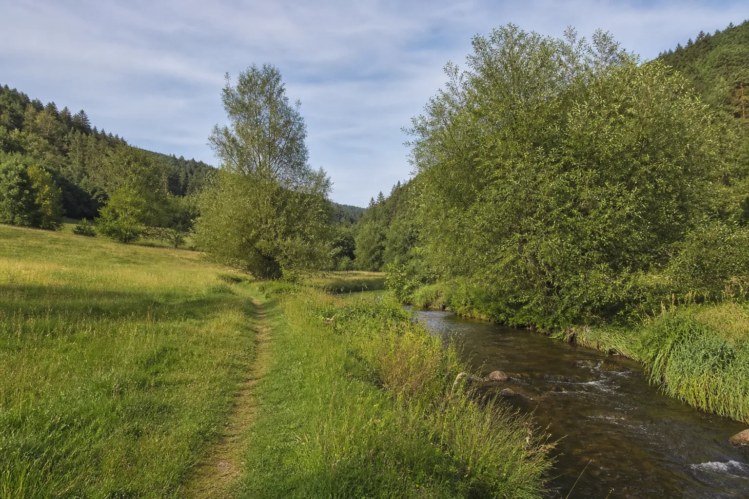 Wiesenweg im oberen Begatal