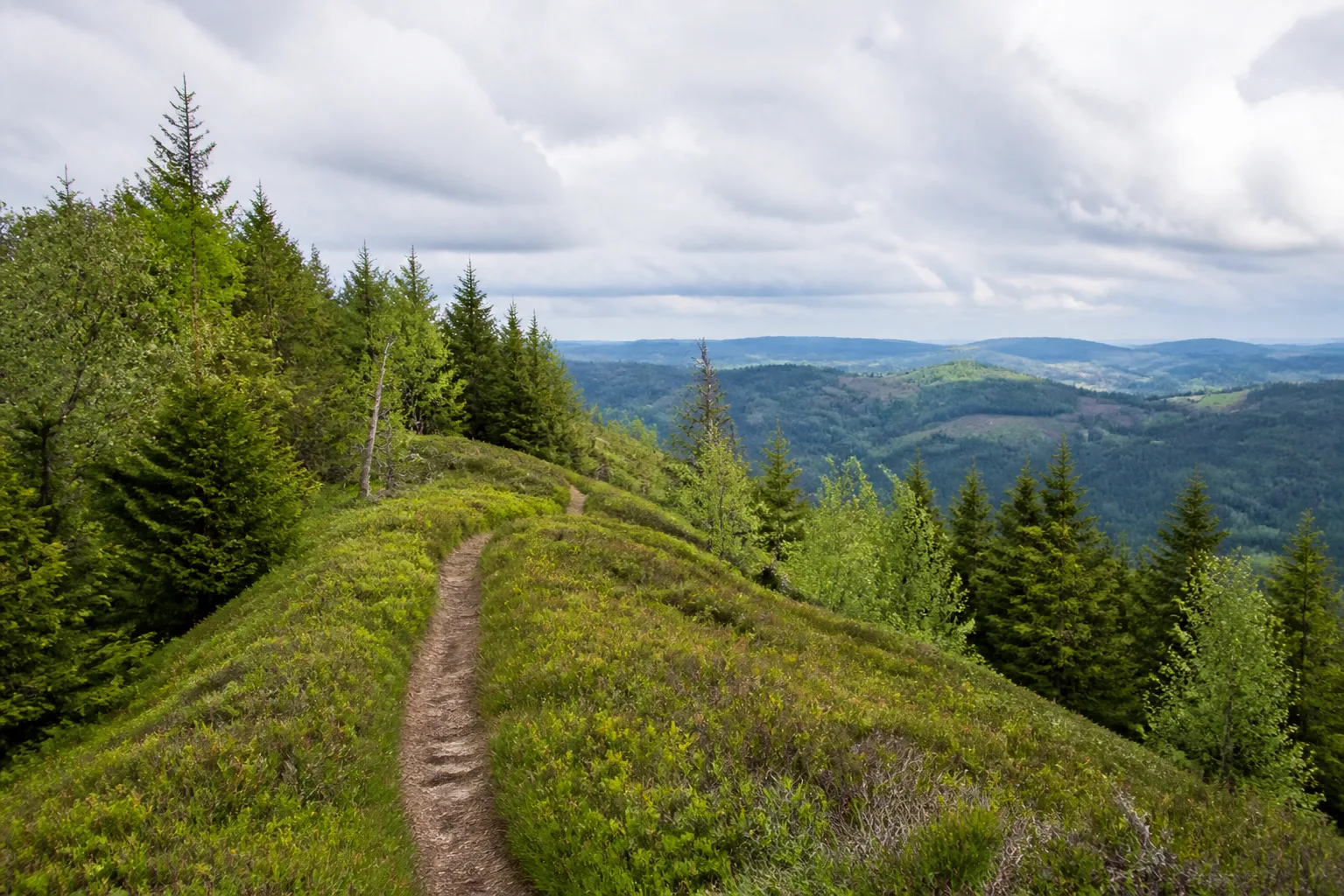 Höhenpfad am Hohen Knochen