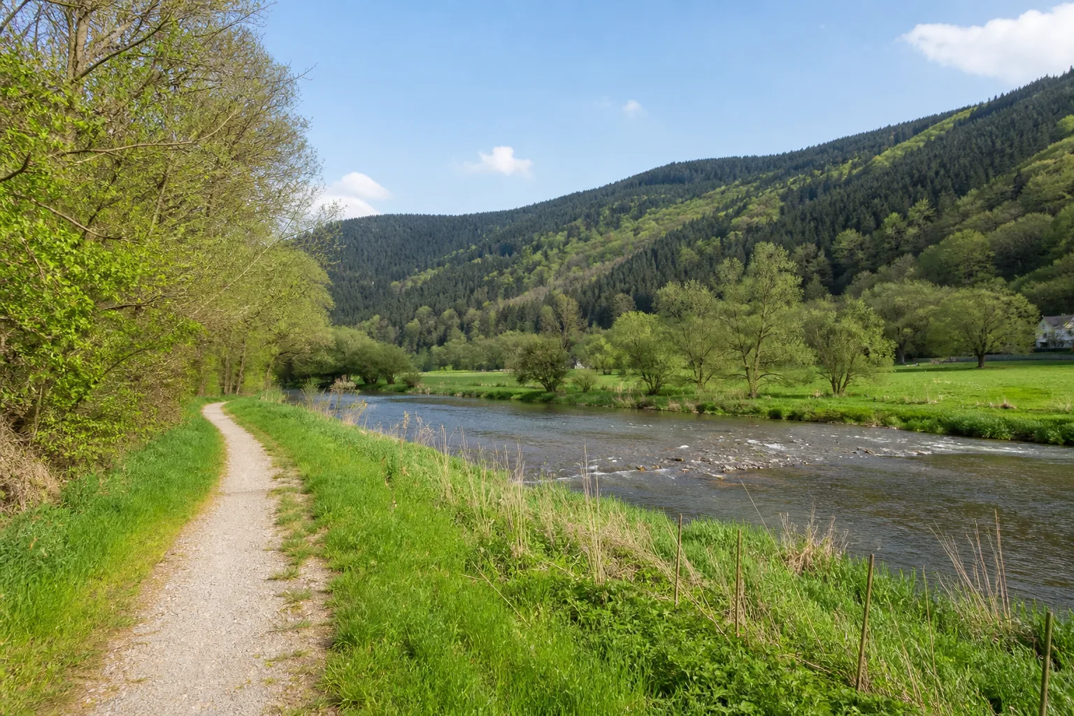 Waldpfad an der Lenne bei Lennestadt-Saalhausen