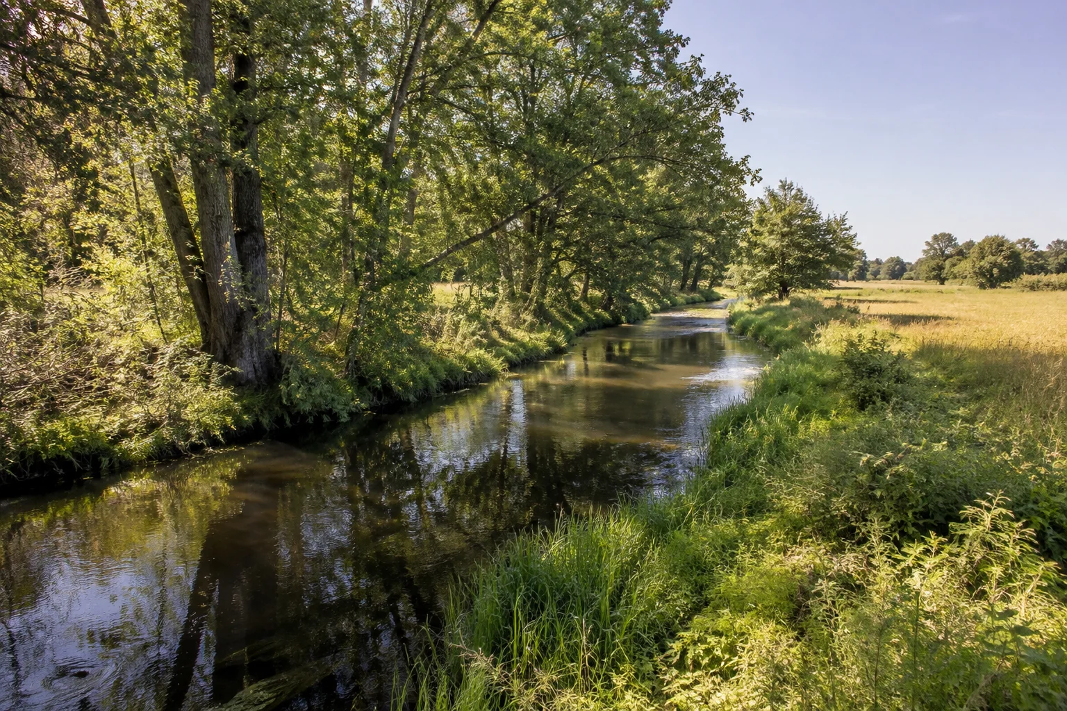 Eldenburger Löcknitz: schmaler ruhiger Fluss zwischen Erlen und flachen Wiesen