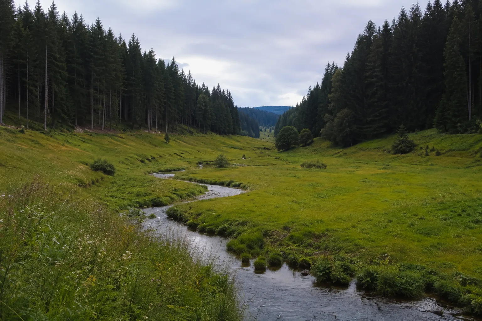 Urseetal: feuchtes Wiesental mit Bach und dunklen Waldrändern