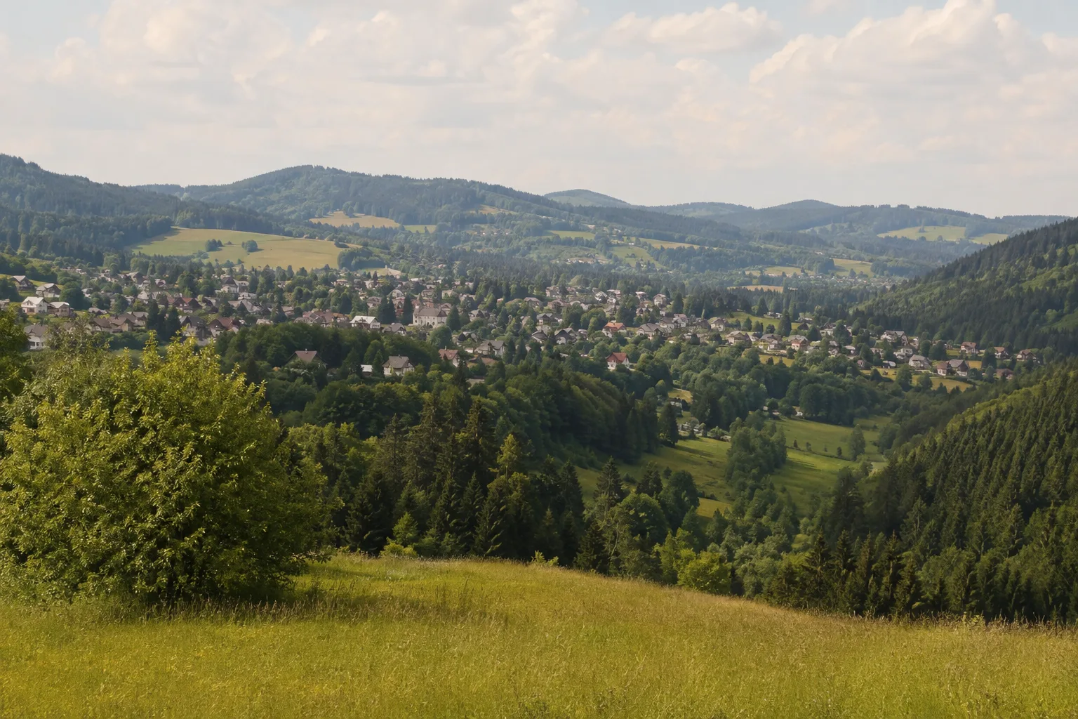 Lenzkirch: Lenzkirch: Schwarzwaldort über dem grünen Haslachtal mit bewaldeten Höhen