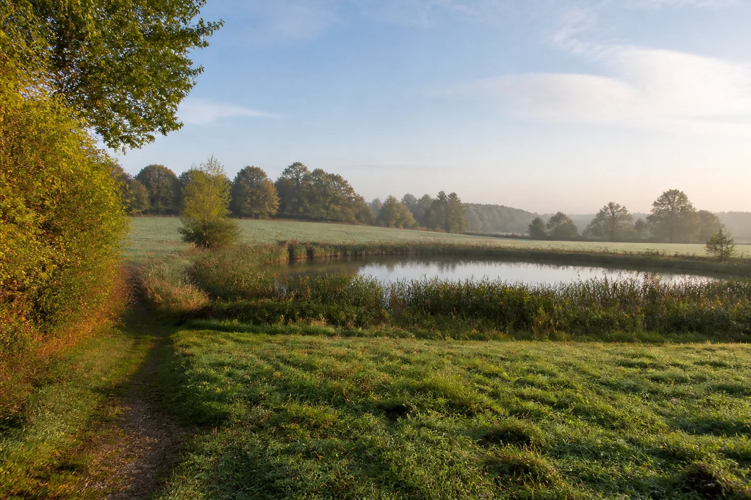 Greste und Hinnaksteich beim Wandern in Leopoldshöhe