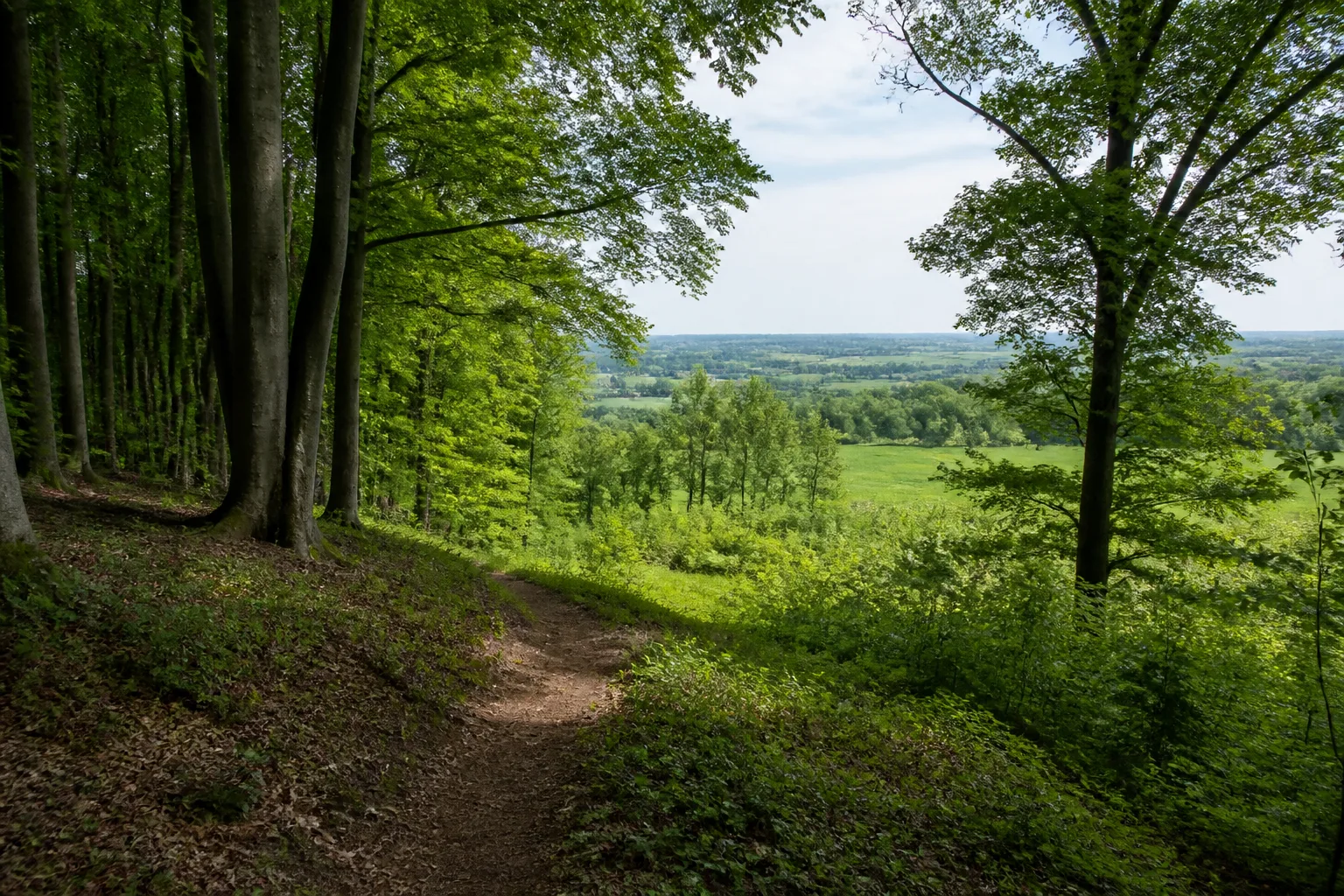 Leopoldshöhe: Landschaft beim Wandern in Leopoldshöhe