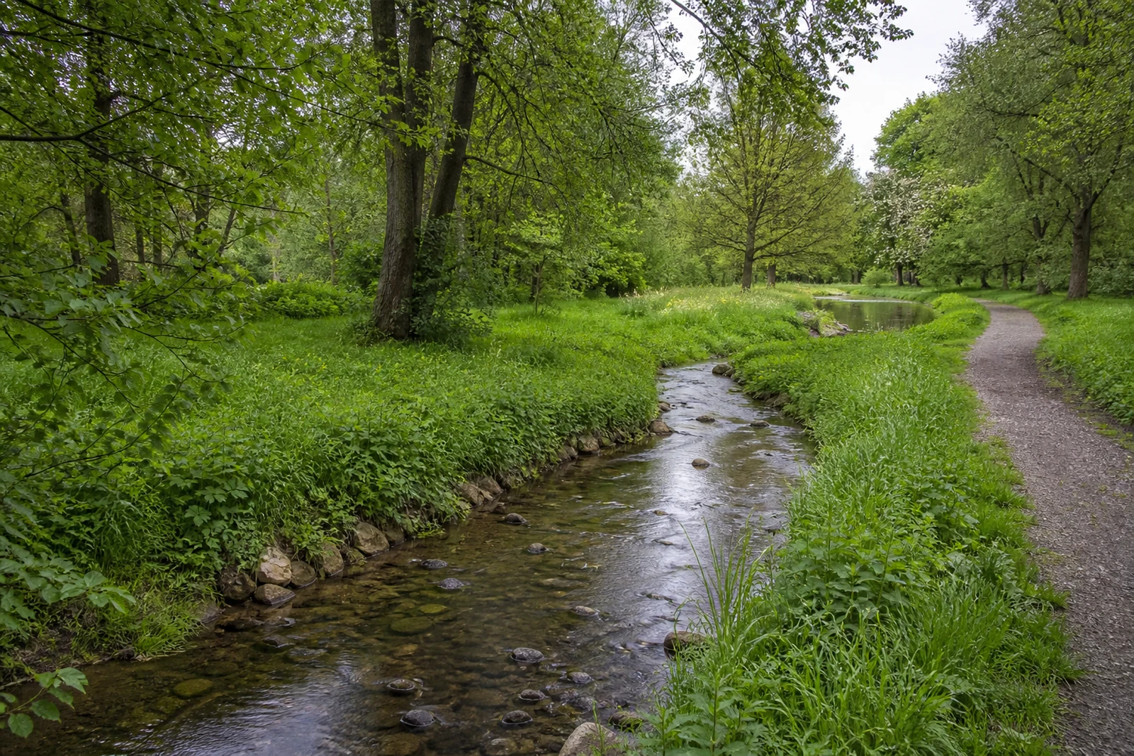 Grüner Weg an der Dhünn bei Schlebusch in Leverkusen