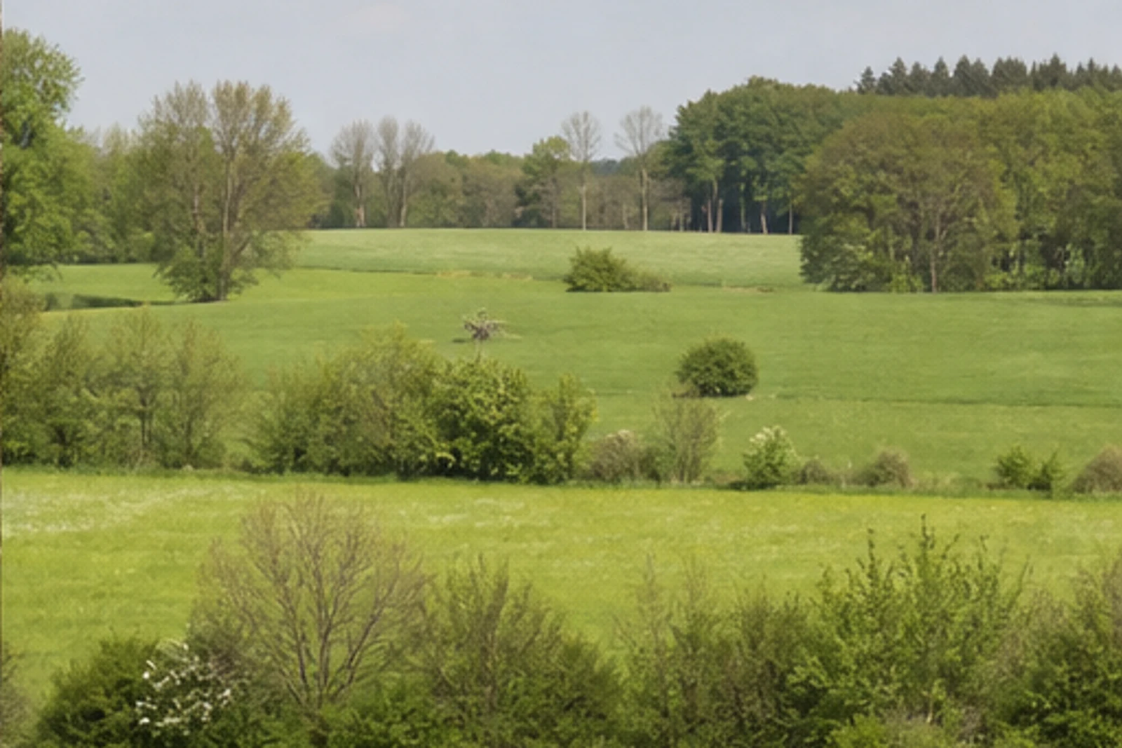 Münsterländer Heckenlandschaft bei Kattenvenne in Lienen