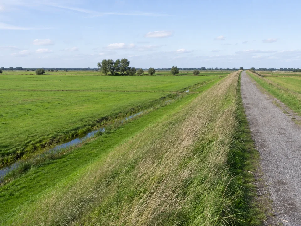 St. Jürgensland: Weite vollkommen flache Wiesen mit geraden Entwässerungsgräben und einzelnen Weiden, langer ländlicher Deichweg