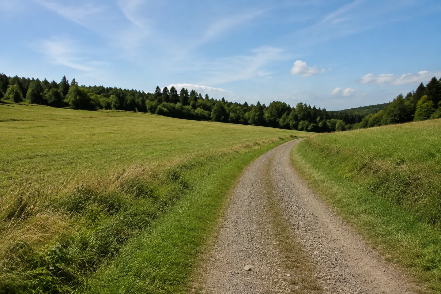 Offene Höhenwiesen bei Winterkasten am Fuß der Neunkircher Höhe, Wirtschaftsweg zwischen grasigen Böschungen und gemischter Wald am Horizont.