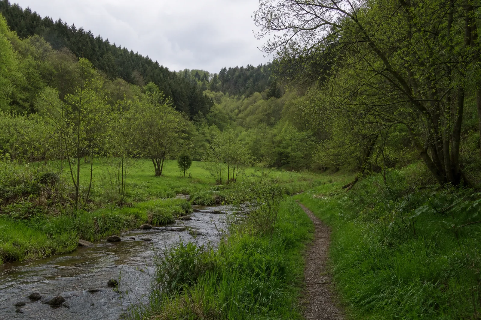 Weg im Sülztal bei Lindlar