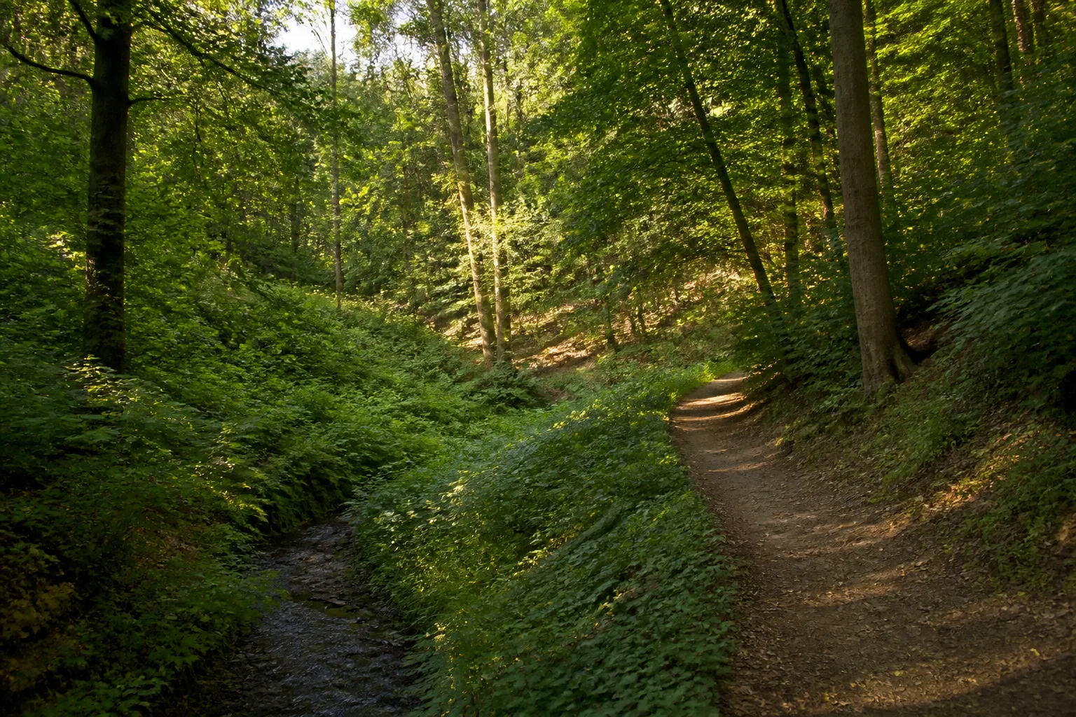 Gohfelder Schweiz