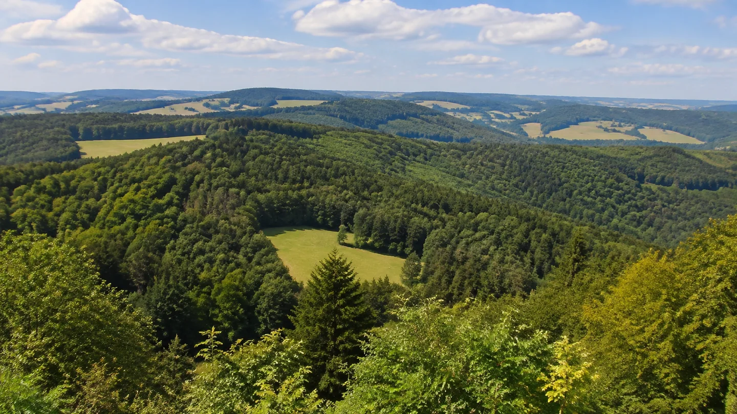 Löwensteiner Berge: Löwenstein – Ortsmitte: Löwensteiner Waldberge: Dichte Laub- und Nadelwälder auf gerundeten Keuperrücken mit einzelnen Wieseninseln