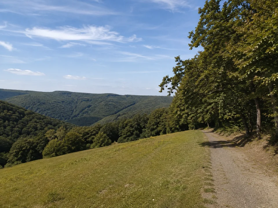 Ranseler Höhenwald: Breiter Weg am Rand einer grünen Kuppenwiese mit dichtem Laubwald und tiefen bewaldeten Tälern dahinter