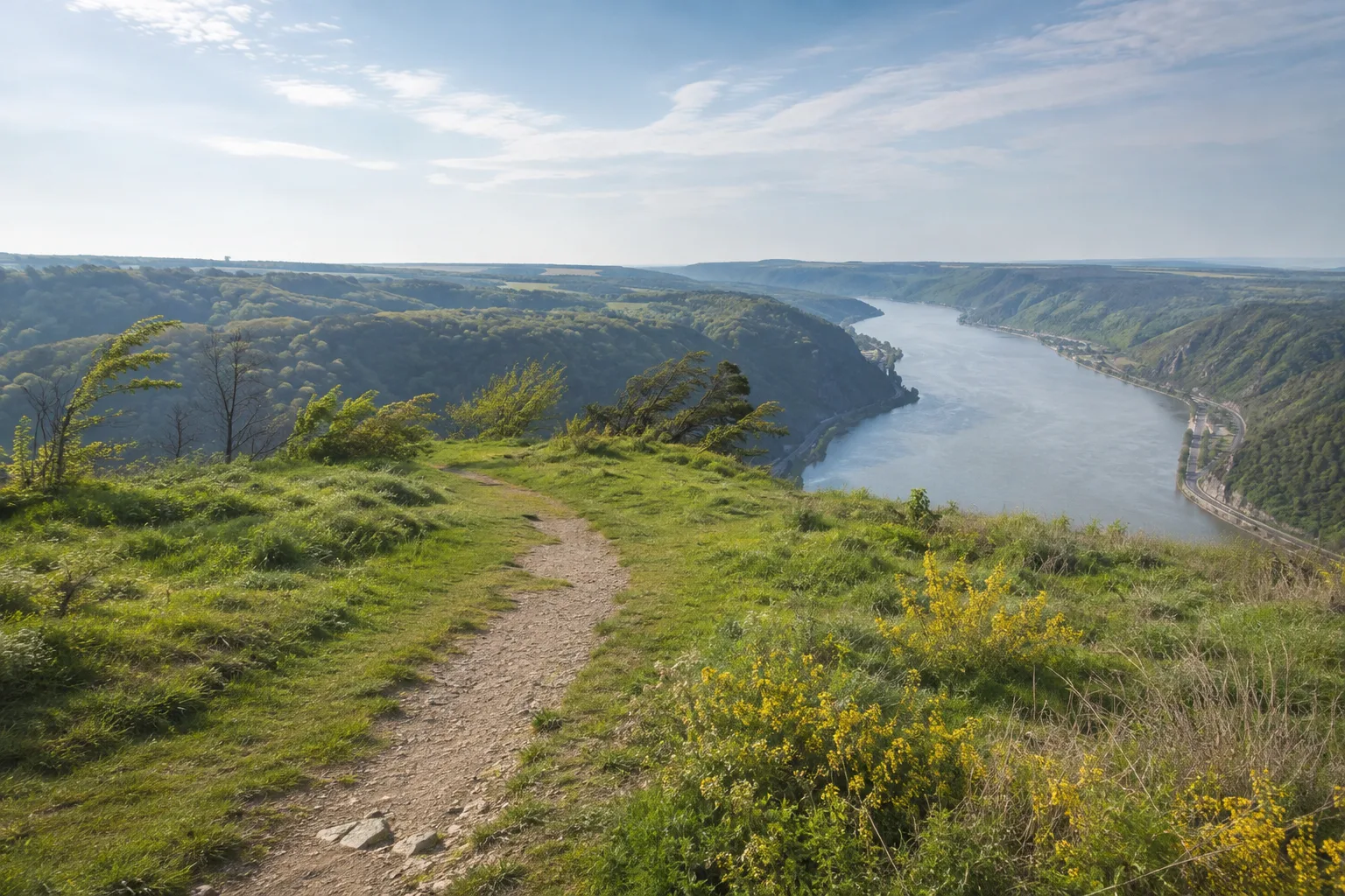 Loreley-Plateau: offene Aussicht über das enge Flusstal