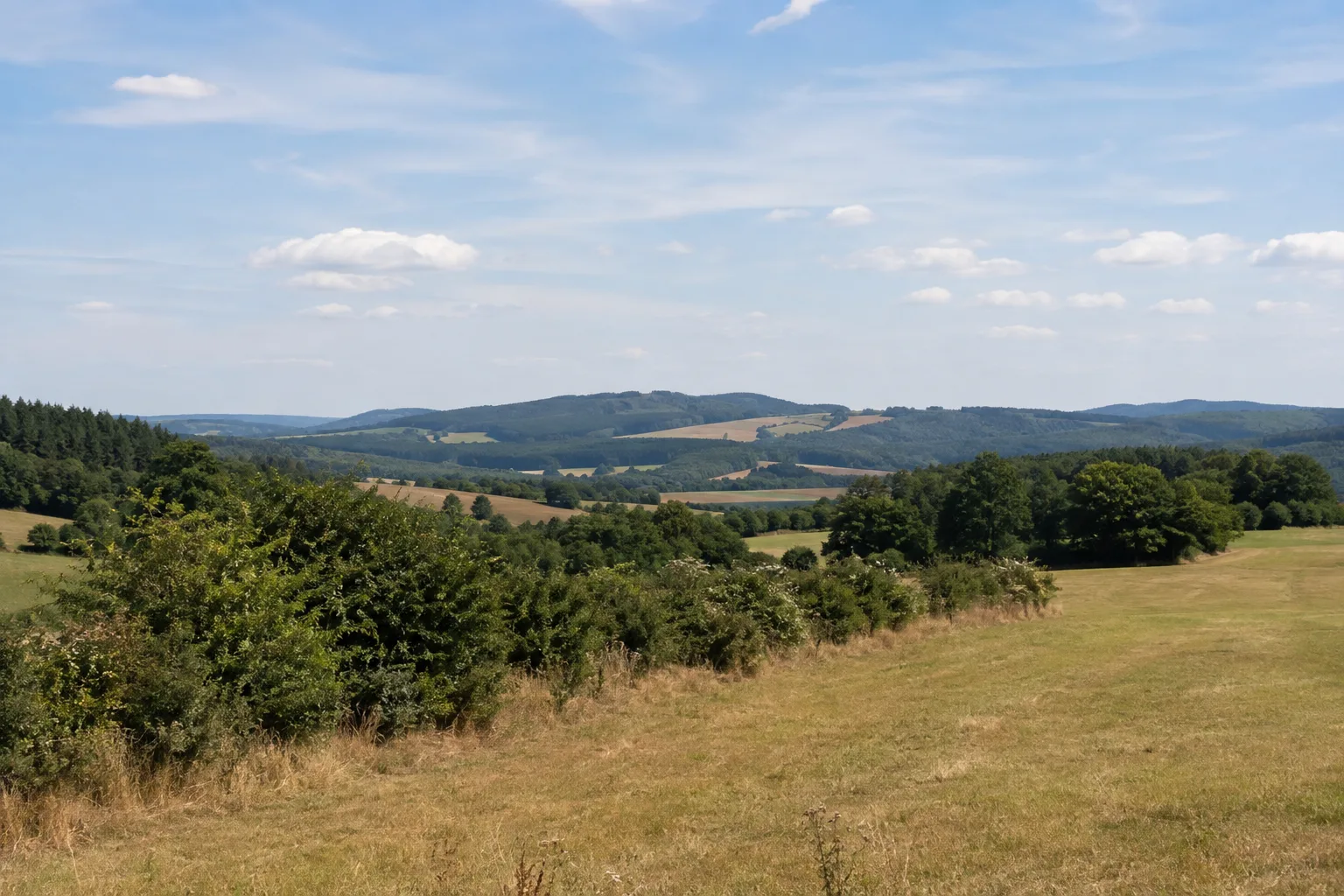 Scheiden: weite Hochwaldwiesen mit Fernblick
