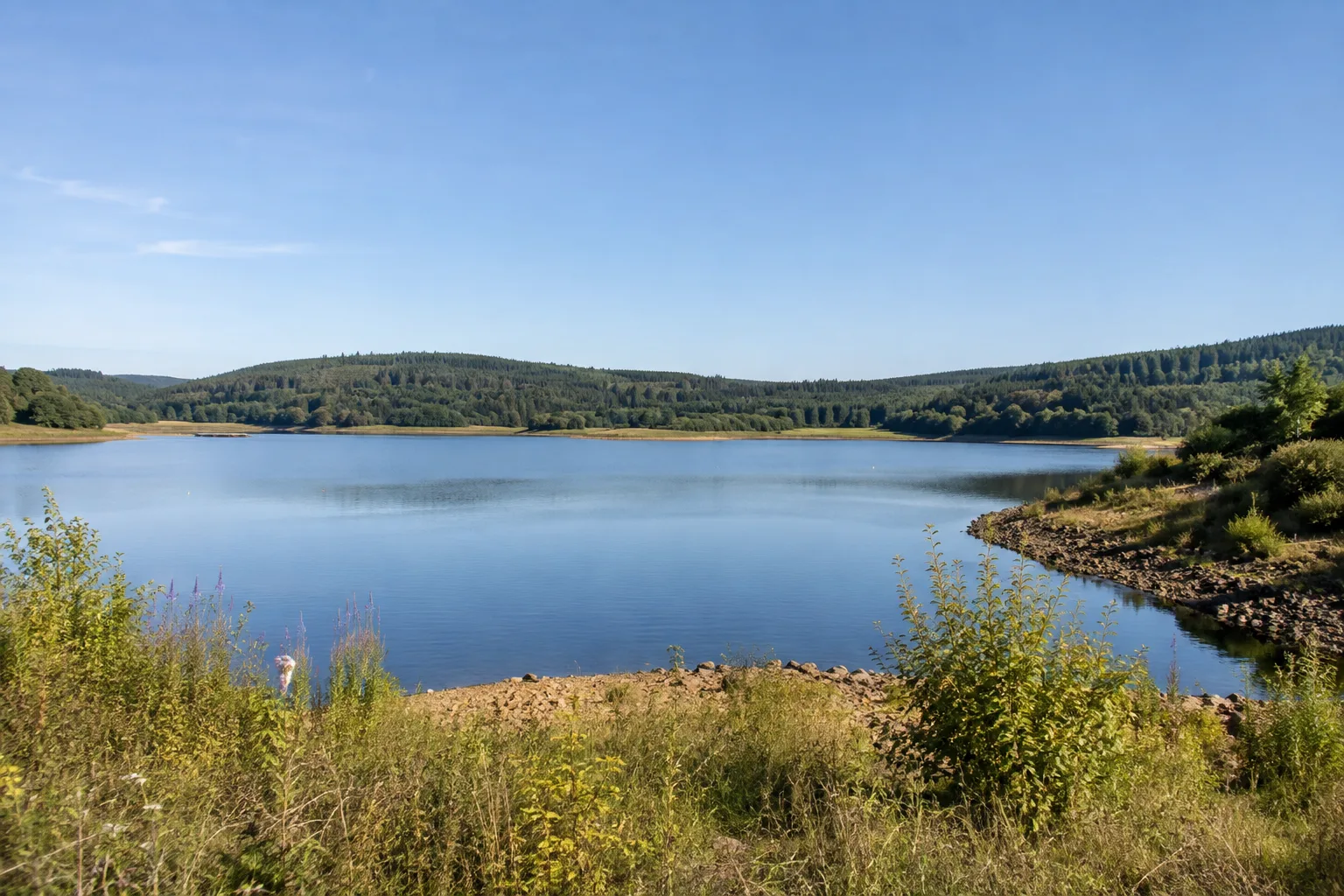 Losheim am See: Tourist-Info Stausee: Losheim am See: Stausee mit Waldhängen und naturnahem Ufer