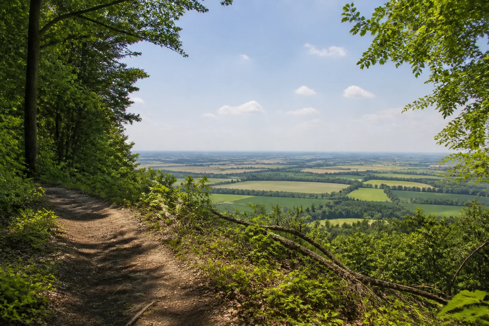 Kammweg im Wiehengebirge