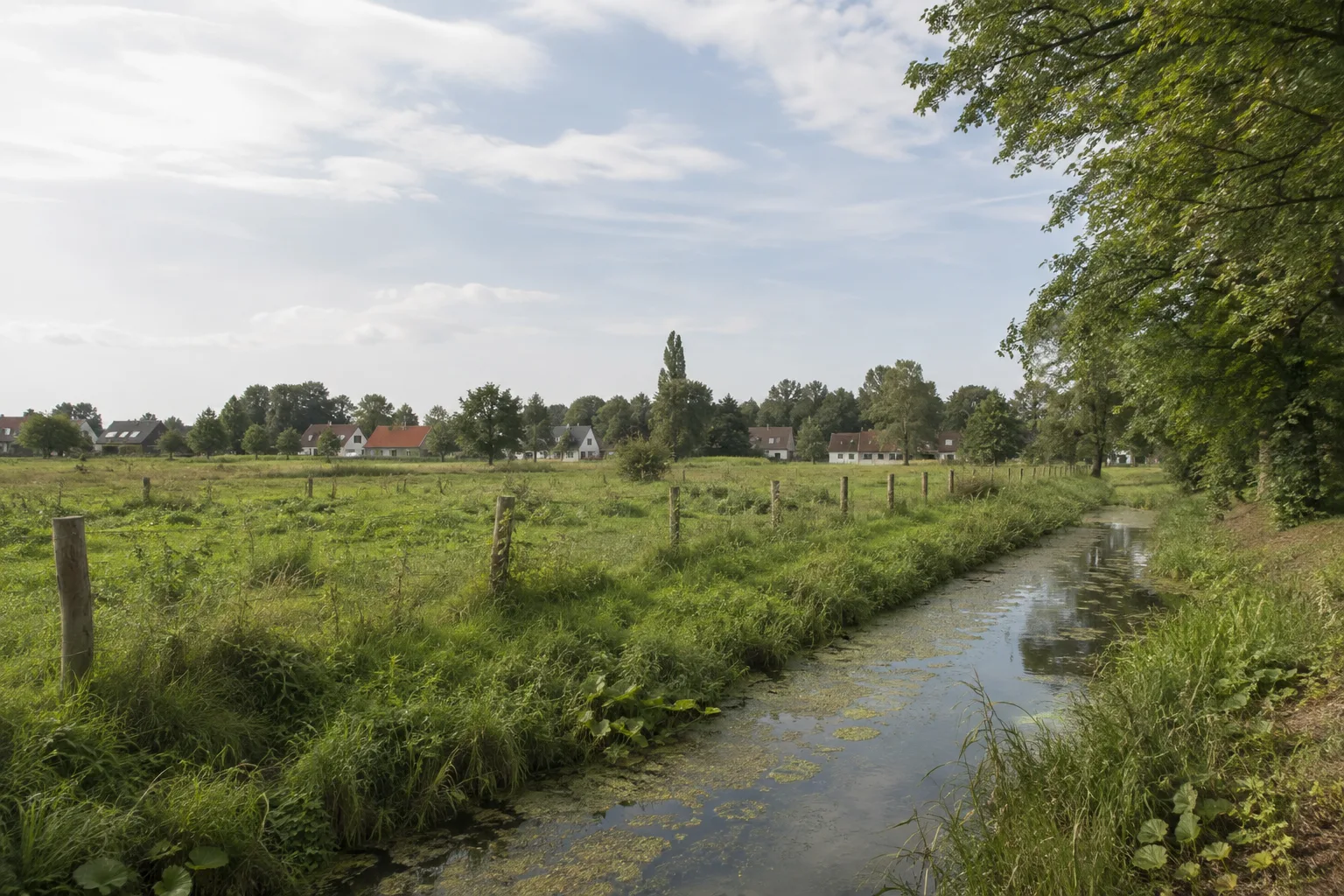 Steinkirchener Aue: Dörfliche Ränder, Gräben und Wiesen südlich des Zentrums