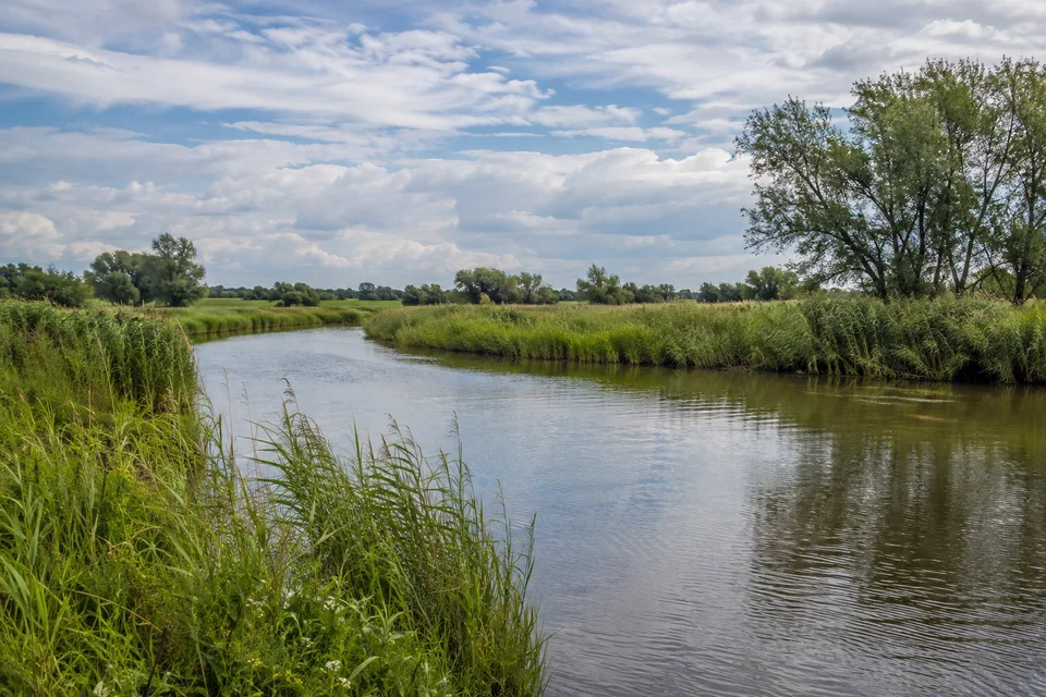 Traveniederung: Weite flache Röhrichtlandschaft mit offener Flusswasserfläche und Weiden unter norddeutschem Himmel