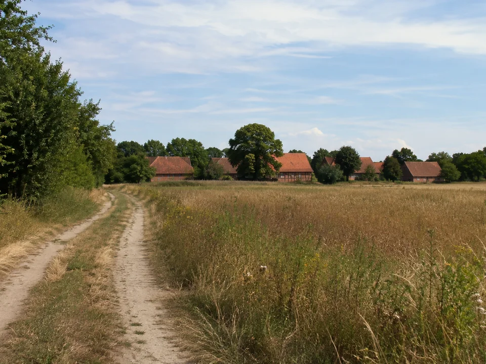 Öffentlicher Dorfrand bei Satemin mit wendländischen Fachwerk-Hallenhäusern nur klein im Hintergrund, Feldweg im Vordergrund