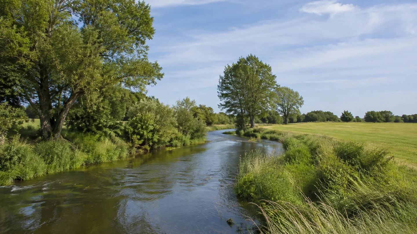 Lüchow (Wendland): Lüchow Altes Rathaus: Jeetzel bei Lüchow: schmaler Tieflandfluss mit grünen Wiesen und Uferweiden