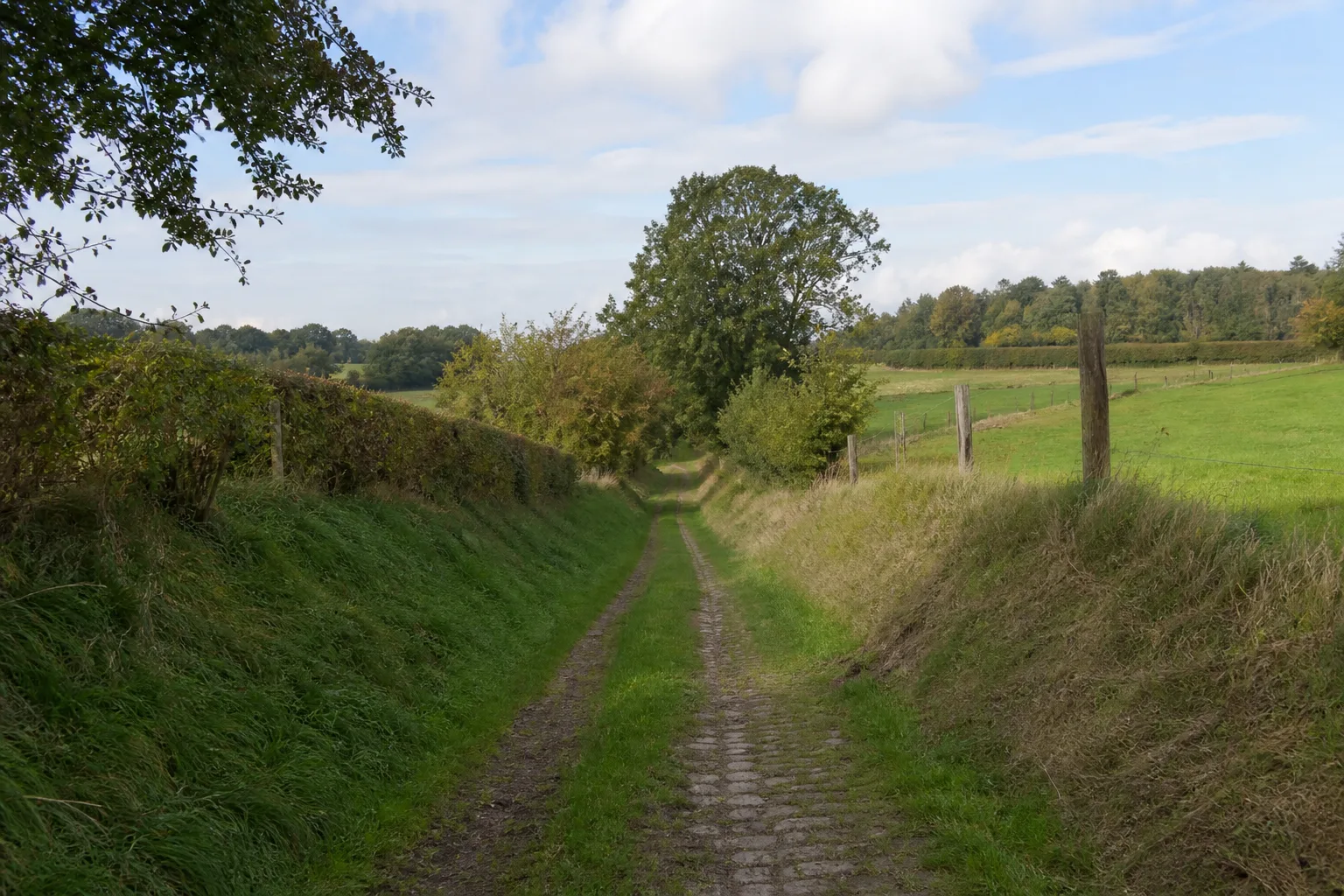 Hohlweg bei Seppenrade