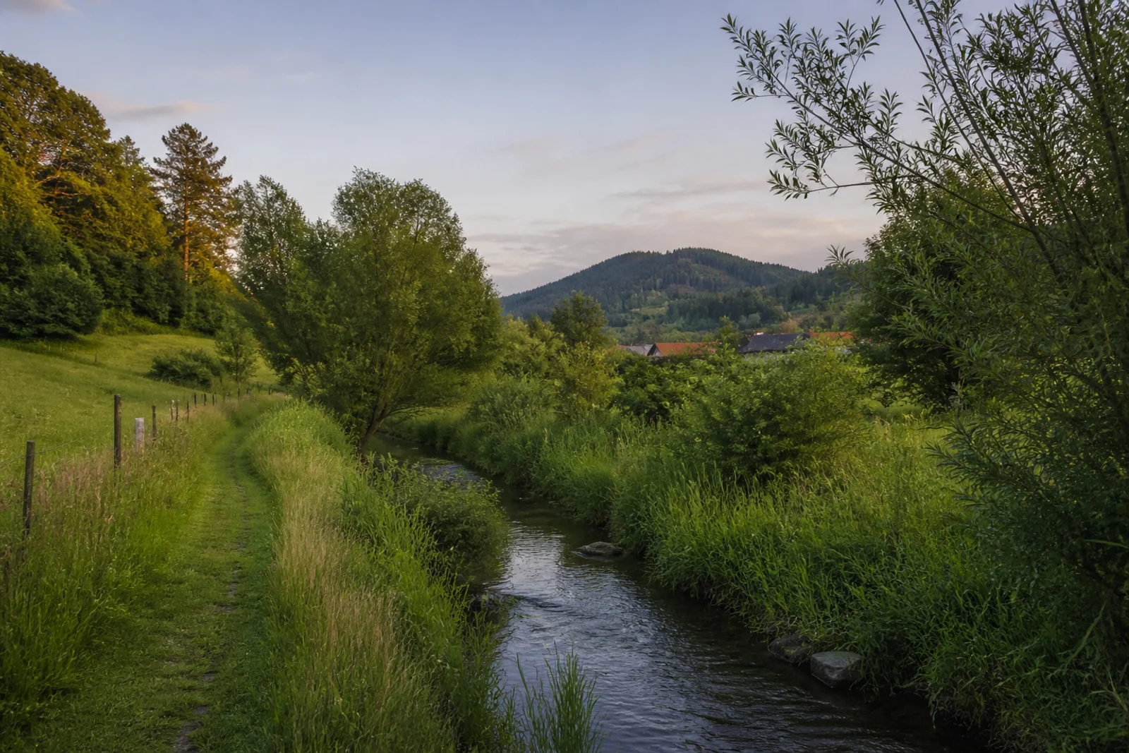 Wiesenweg im Ilsental bei Elbrinxen