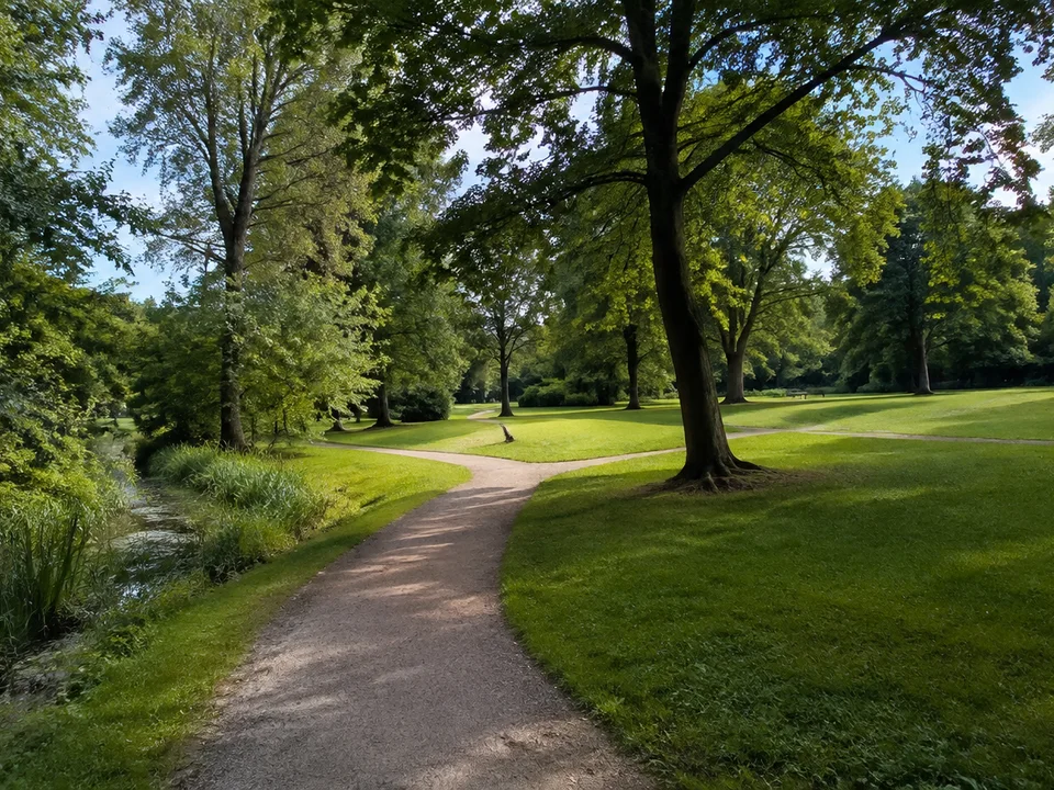 Lüneburger Kurpark: alte Laubbäume und gepflegte grüne Wiesen an geschwungenem Spazierweg