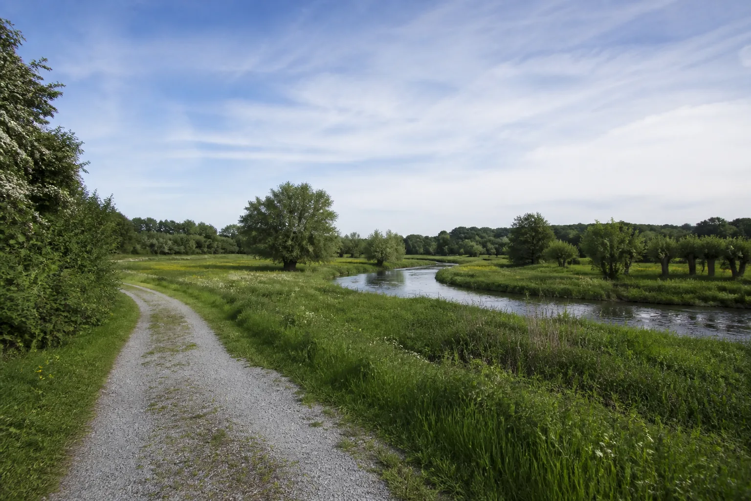 Uferweg an der Lippe durch grüne Auenwiesen in Lünen