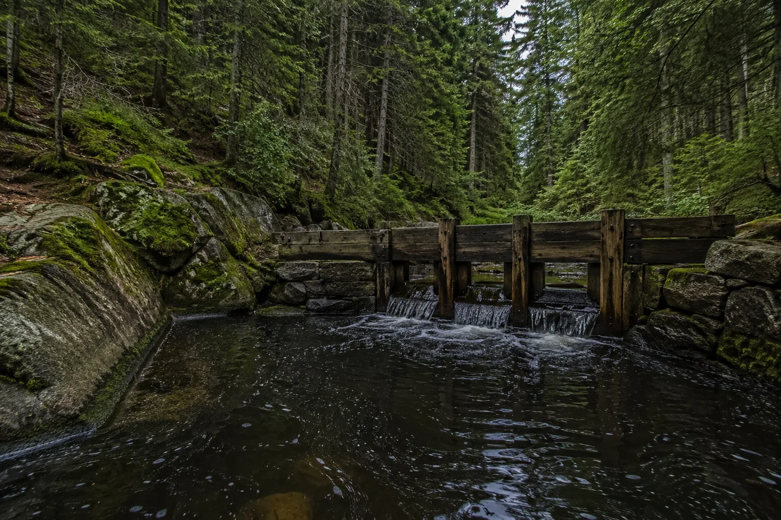 Martinsklause: historische Triftklause an dunklem Waldbach zwischen moosigen Blöcken