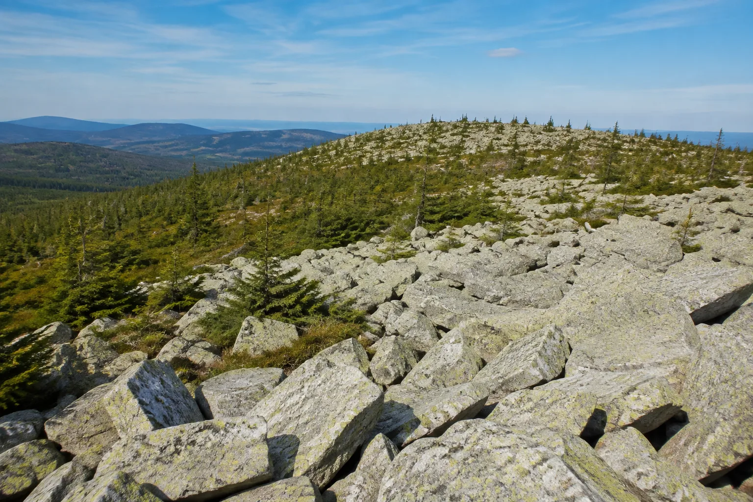 Lusen: Lusengipfel: weites hellgraues Granitblockmeer auf dem kahlen Gipfel über jungem Bergwald