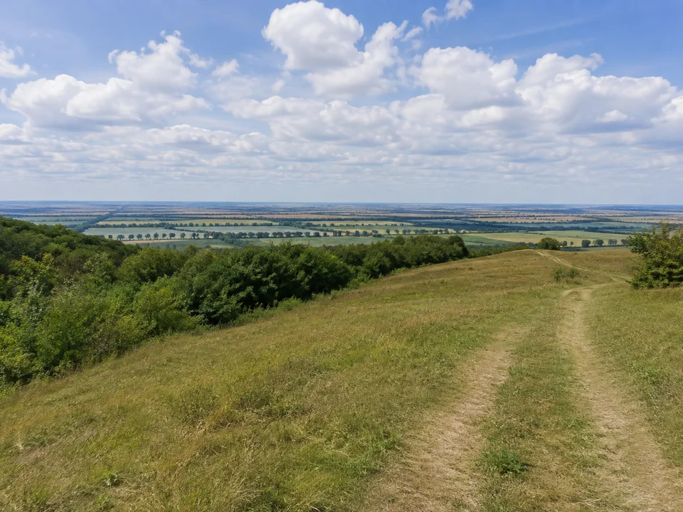 Am Apollensberg: Wiesenweg an einem niedrigen bewaldeten Hügel über weitem flachen Elbtal, keine Felskulisse