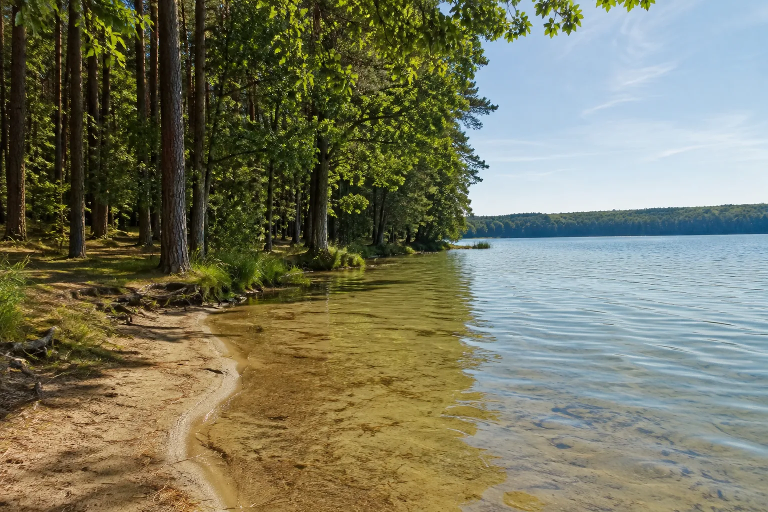 Wurlsee: klarer See mit sandigem Rand unter Kiefern und Buchen