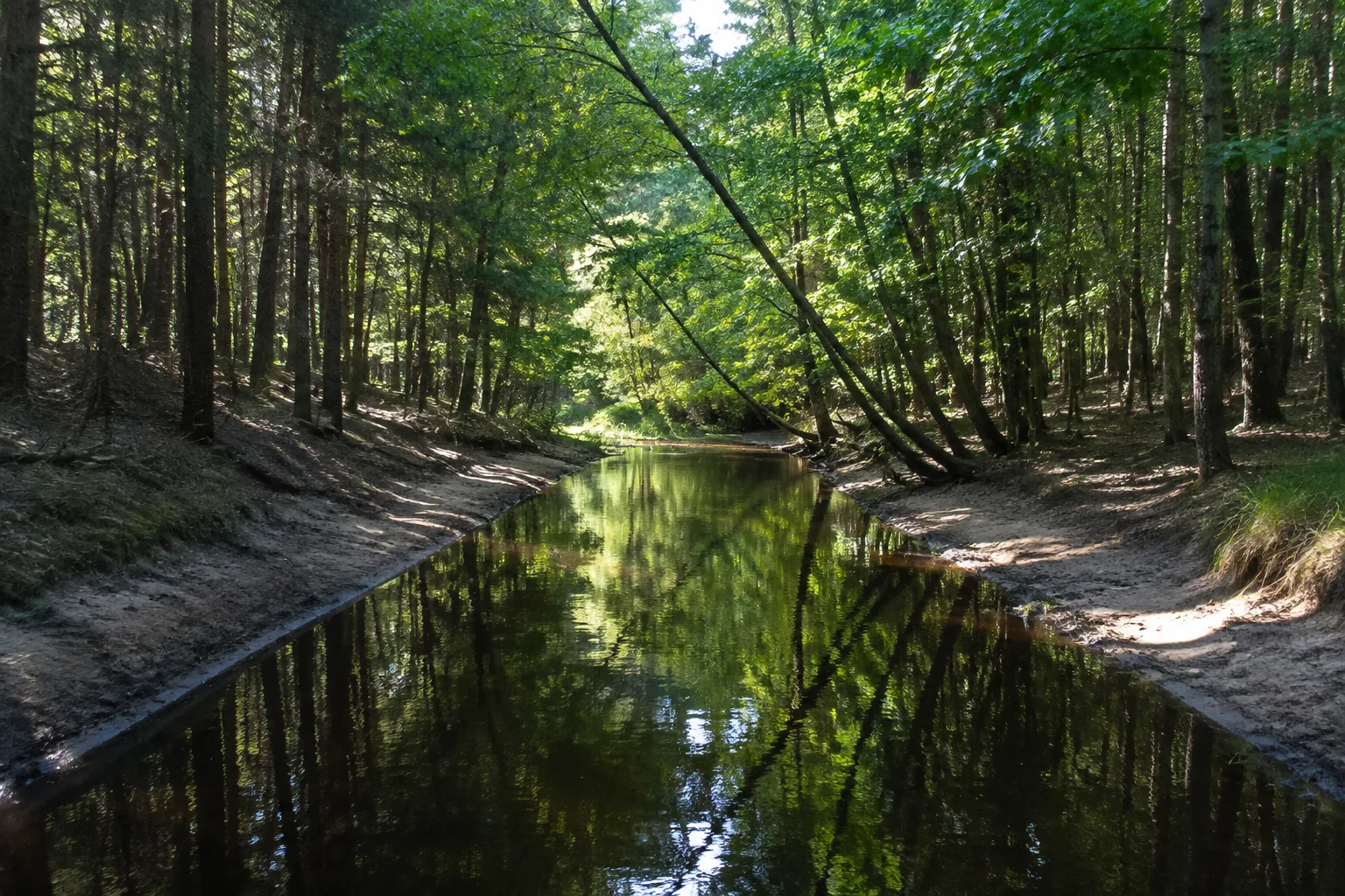 Küstrinchener Wald: schmaler Bach im schattigen Wald zwischen flachen sandigen Ufern