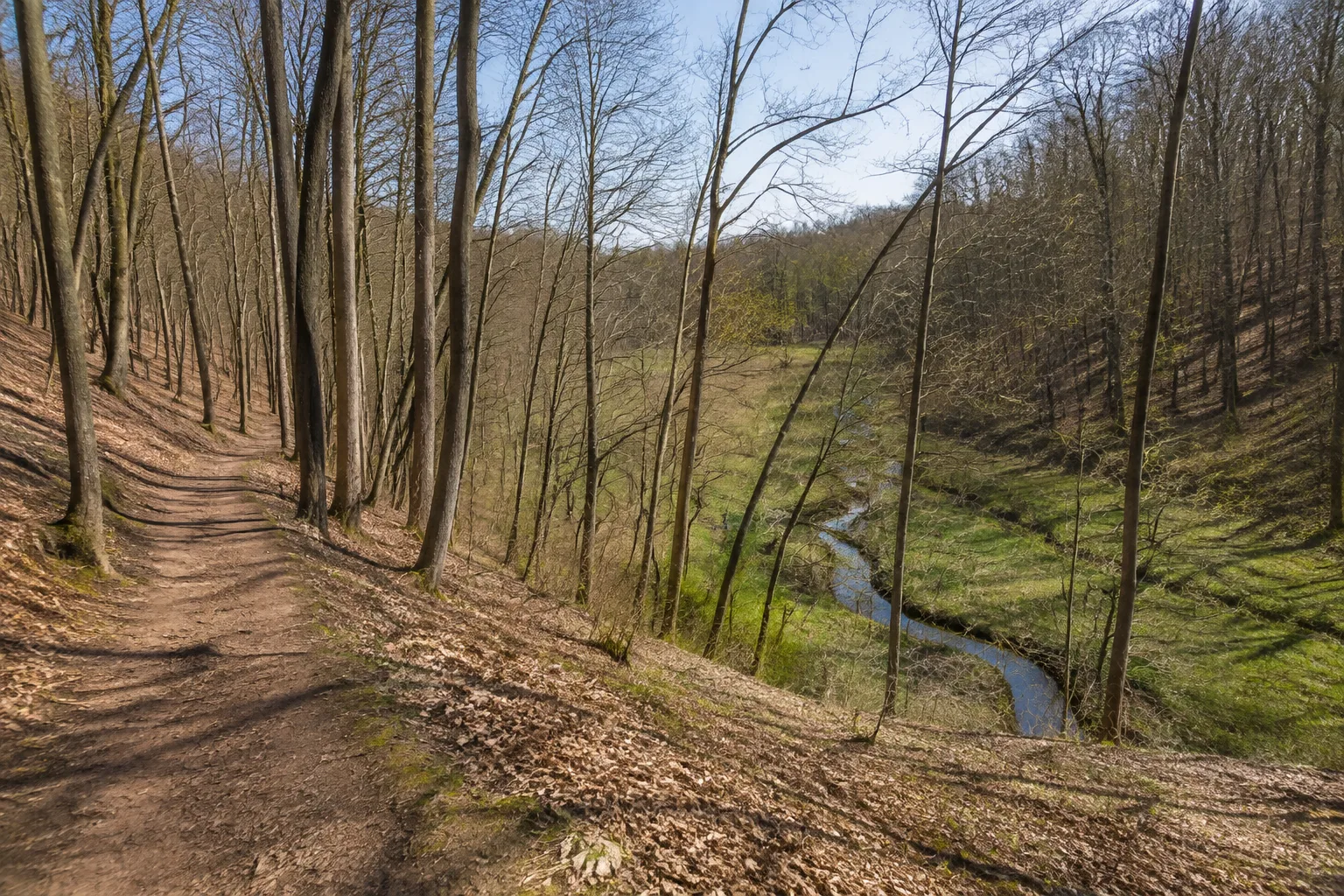 Stobbertal: naturnaher Weg oberhalb eines kleinen Flusstals